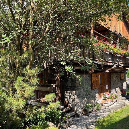 Chalet Sottoguda 罗卡皮耶托雷 外观 照片