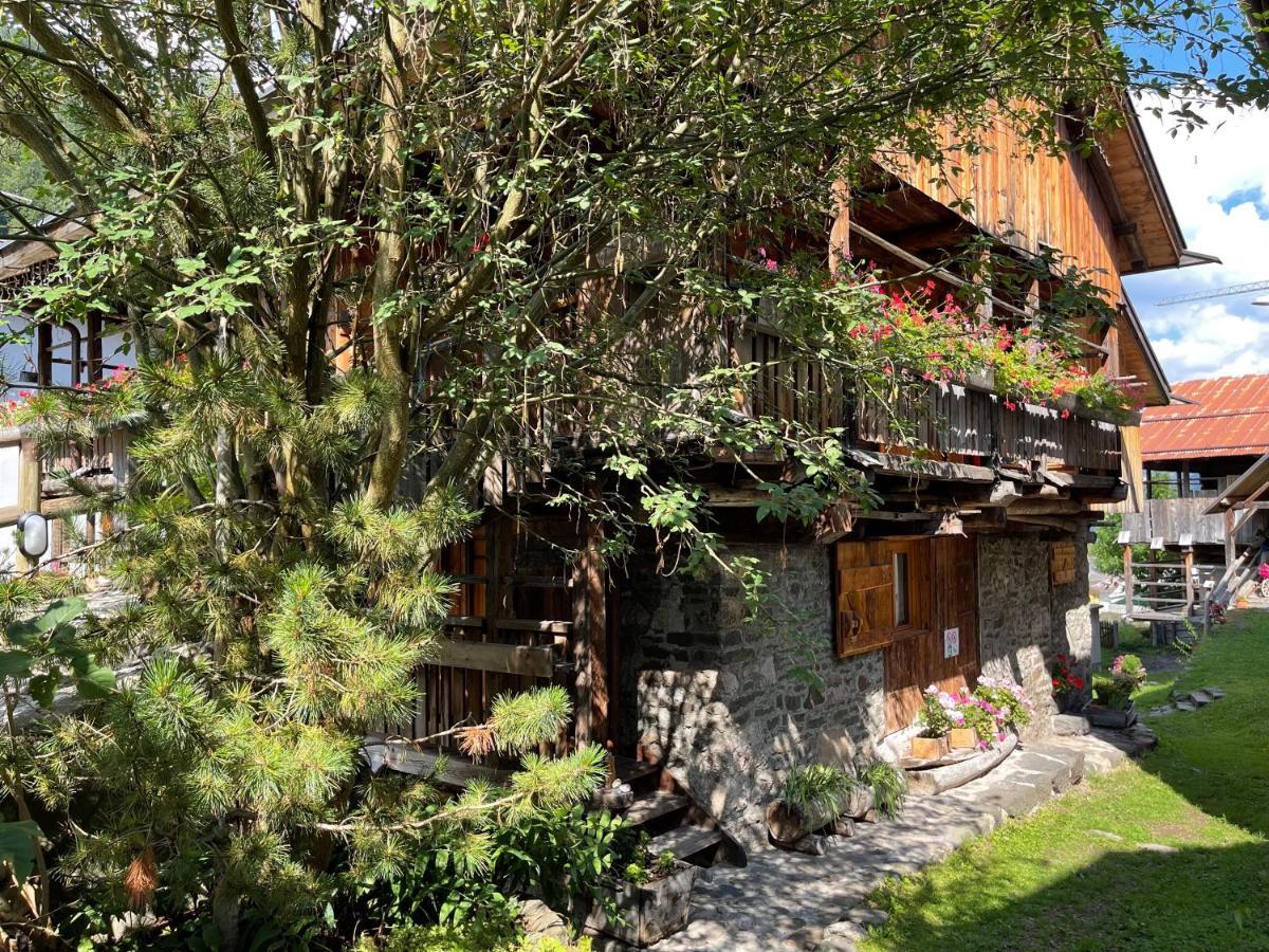 Chalet Sottoguda 罗卡皮耶托雷 外观 照片